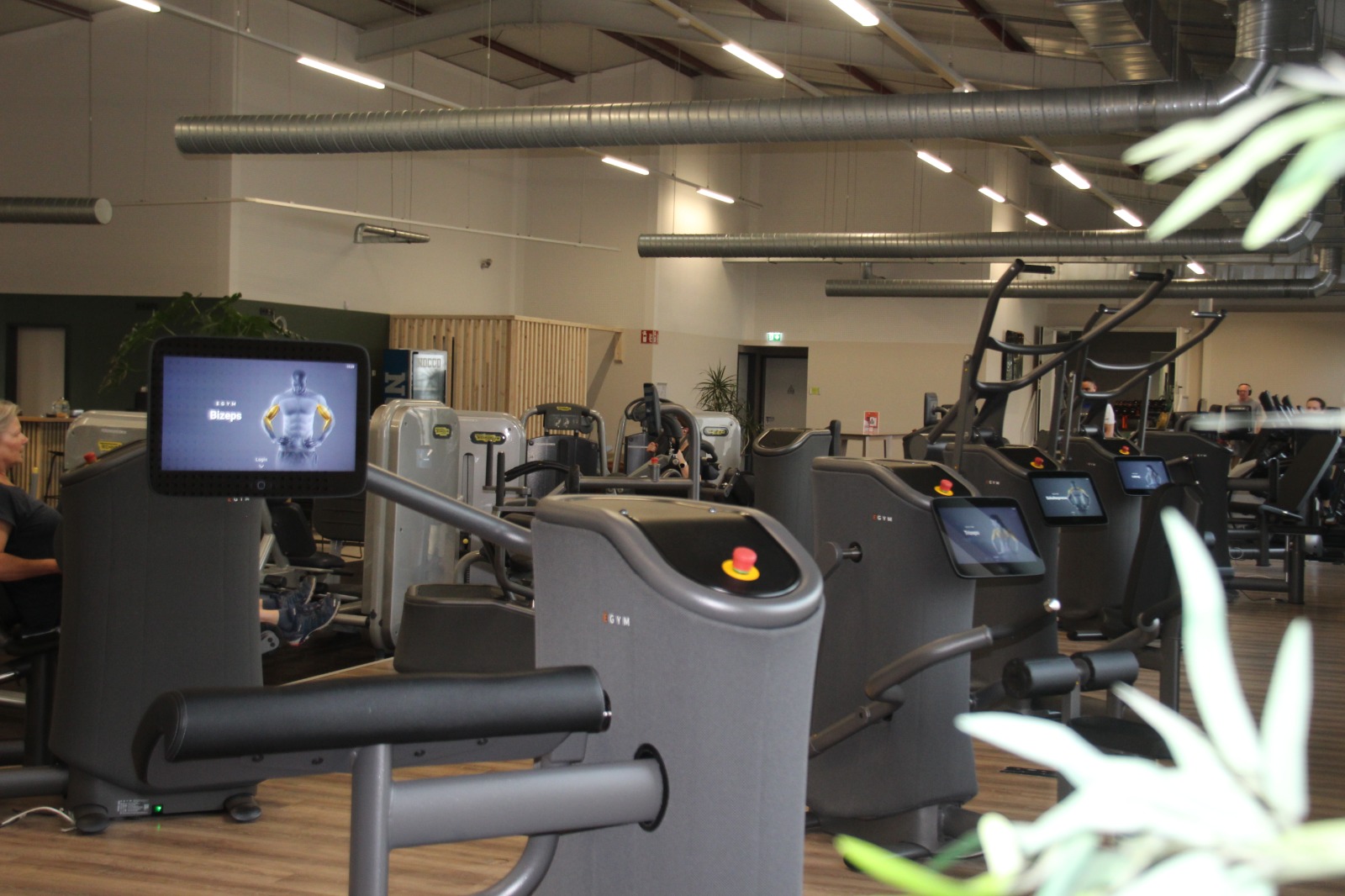 WhatsApp Image 2026-02-04 at 18.24.34 (2)